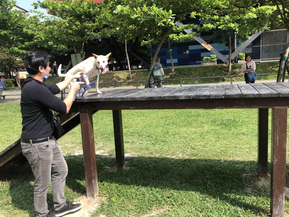 民眾帶著自家狗狗體驗土城寵物公園設施。   圖：新北市動保處提供