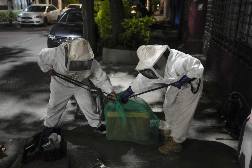 Adriana Veliz, right, and Lucy Millan, finish securing a bee hive that had made its nest inside the base of a lamp post in Mexico City, Thursday, June 8, 2023. The women are part of a group Abeja Negra SOS that works hive-by-hive, to relocate bees away from Mexico’s crowded capital city that would otherwise be exterminated. (AP Photo/Eduardo Verdugo)