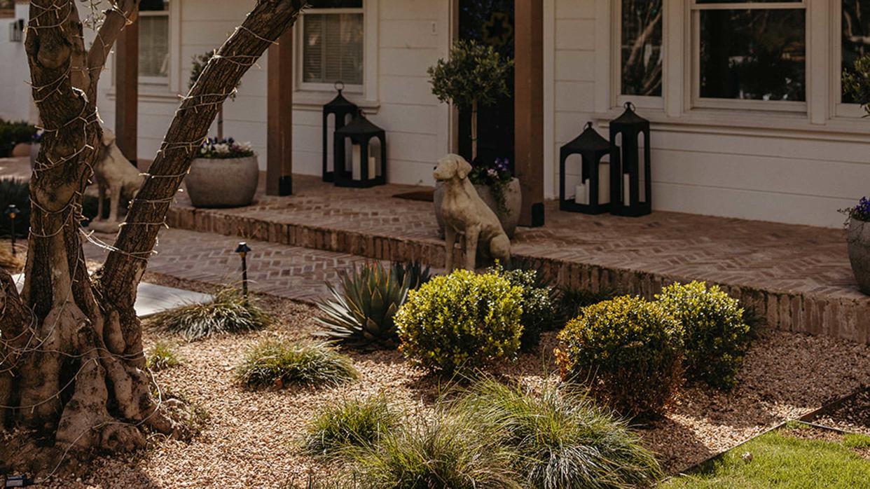  a front yard with low maintenance plants 