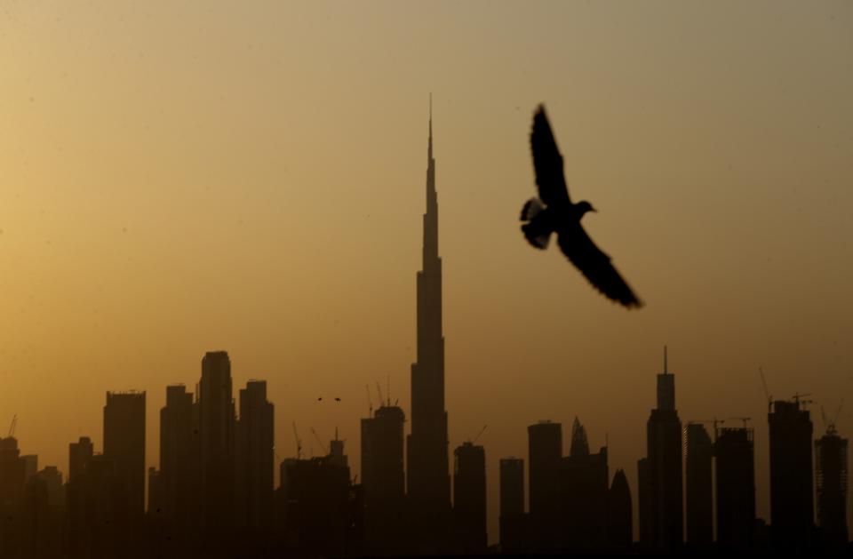 A seagull flies pass the view of city skyline and the world tallest tower, Burj Khalifa, in Dubai, United Arab Emirates, Friday, Jan.29, 2021. (AP Photo/Kamran Jebreili)