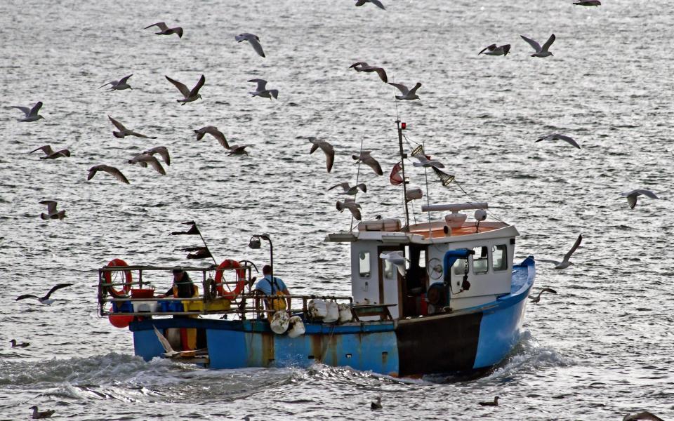 Gulls follow a fishing boat as it sails into the North Sea from Scarborough harbour