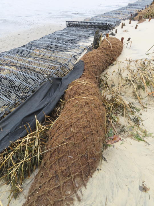 Logs of coconut husk known as coir sit on the bank of the Shark River in Neptune, N.J., Jan. 31, 2023, where the American Littoral Society is doing a shoreline restoration project incorporating coconut fibers. The material is being used in shoreline stabilization projects around the world. (AP Photo/Wayne Parry)