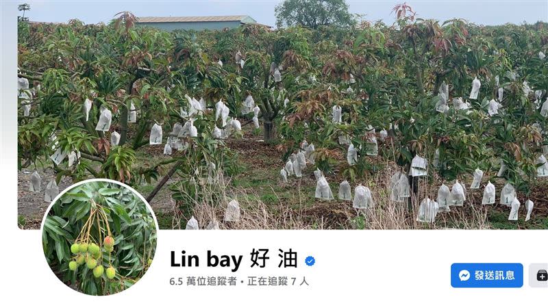 Linbay好油自導自演恐嚇案，檢警搜出關鍵證據，有兩人討論的對話內容。（圖／翻攝畫面）