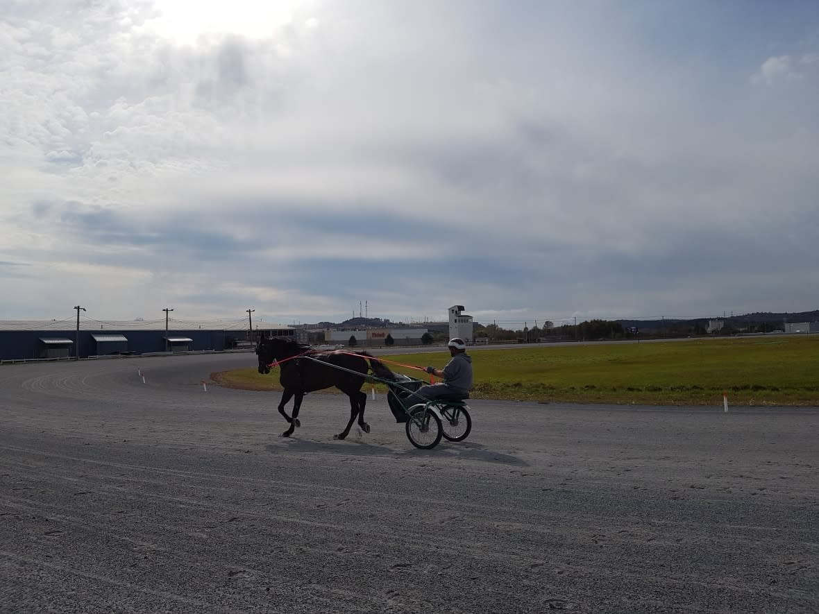 Wayne Hubbard takes Pickpocket Princess for a jog at Exhibition Park Raceway. The raceway is facing closure at the end of the year. (Steven Webb/CBC - image credit)