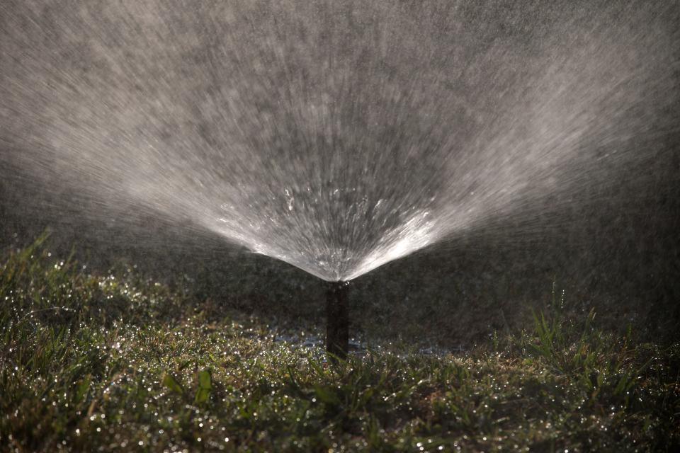 Parsippany and Denville have both imposed water restrictions this summer.