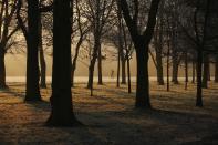 LONDON, ENGLAND - DECEMBER 12: A man walks through the early morning frost in Regents Park on December 12, 2012 in London, England. Forecasters have warned that the UK could experience the coldest day of the year so far today, with temperatures dropping as low as -14C, bringing widespread ice, harsh frosts and freezing fog. Travel disruption is expected with warnings for heavy snow in some parts of the country. (Photo by Dan Kitwood/Getty Images)