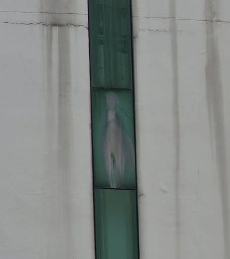 An image said to be the Virgin Mary appears on the window of a Malaysian hospital in Subang outside Kuala Lumpur on November 11, 2012. "We believe Mary, mother of God, has a message for us, as she is looking down on us and then at a Malaysian flag. We can also see Jesus and he is also moving, they are not static," Eunice Fernandez, who lives nearby, told AFP