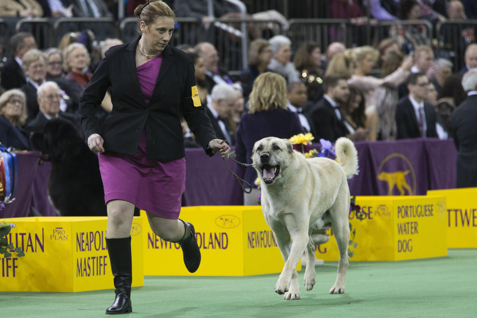 (AP Photo/Mary Altaffer)