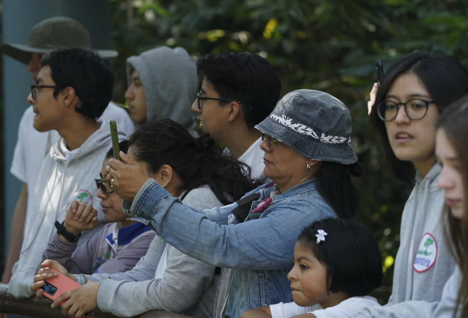 Visitors take photos of Xin Xin, a 32-year-old Mexican-born giant panda, at the Chapultepec Zoo in Mexico City, Friday, Nov. 11, 2022. Giant pandas have had success in Mexico. After World War II, China embarked on its “panda diplomacy” to project a positive image abroad and raise its profile. The first captive giant pandas born outside of China were at the Chapultepec Zoo. Over the years, there have been eight births. (AP Photo/Fernando Llano)