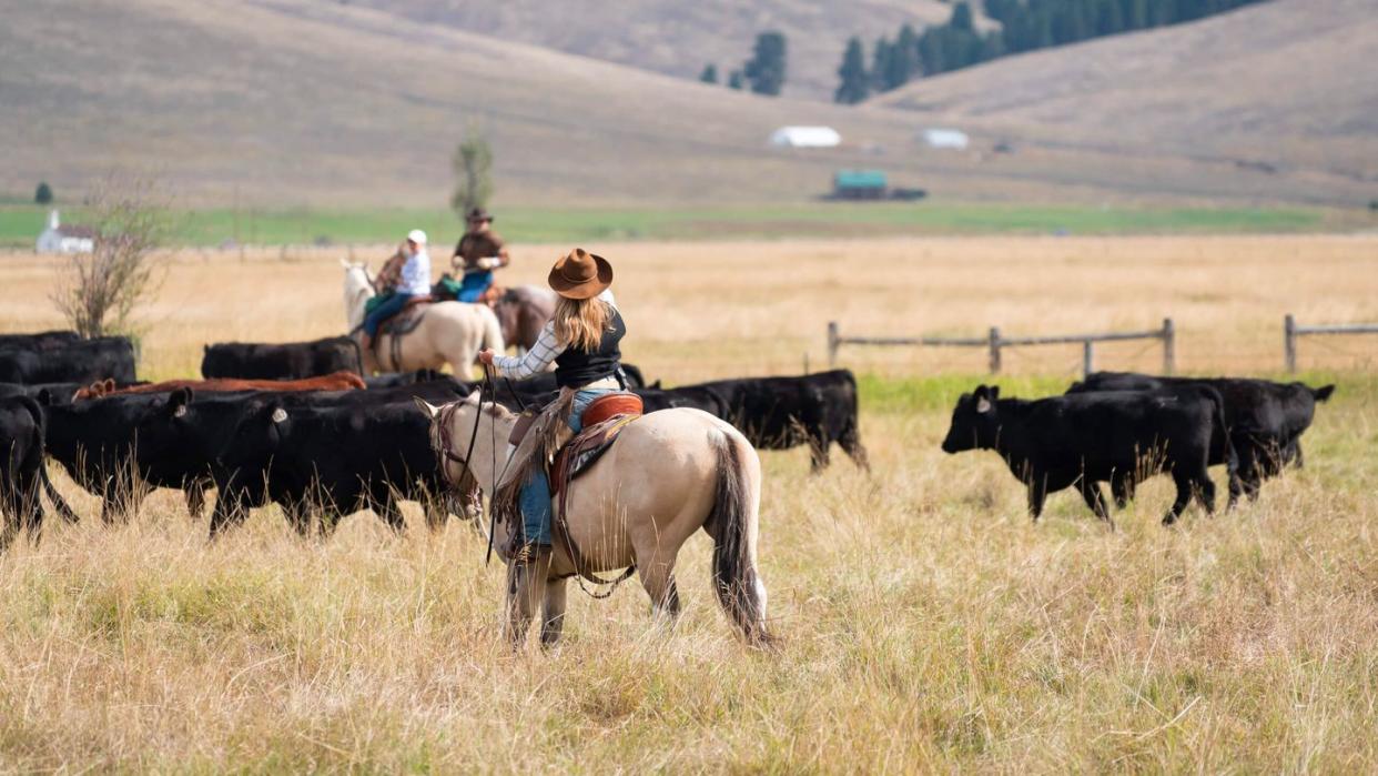 triple creek ranch