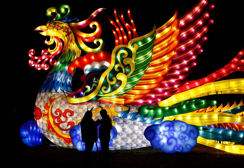 Austin Moses proposes to his girlfriend, Lauren Nelson, next to a brilliantly lit display along the path of the OKC Zoo Safari Lights on Saturday, Nov. 26, 2022, at the Oklahoma City Zoo and Botanical Garden in Oklahoma City.