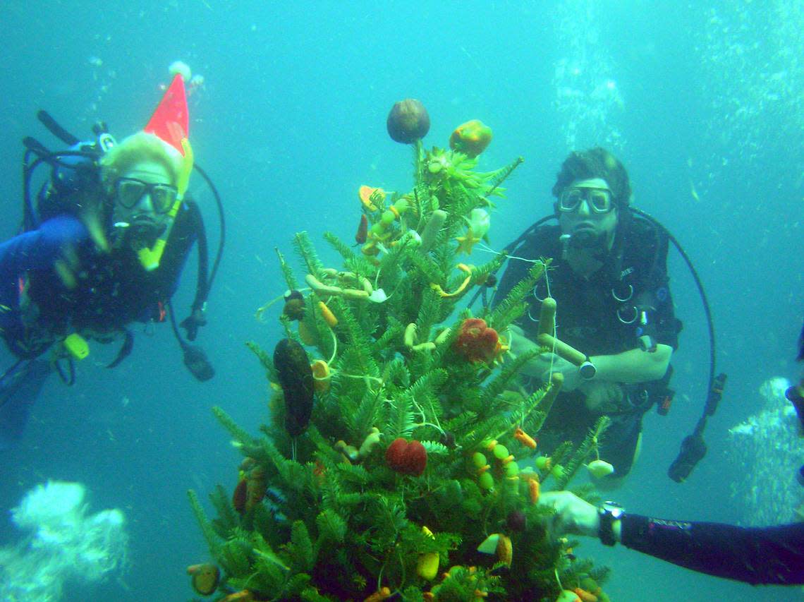 Divers sank and decorated a Christmas tree in 2005 at Hog Heaven, an artificial reef off Sunrise Blvd. in Fort Lauderdale.