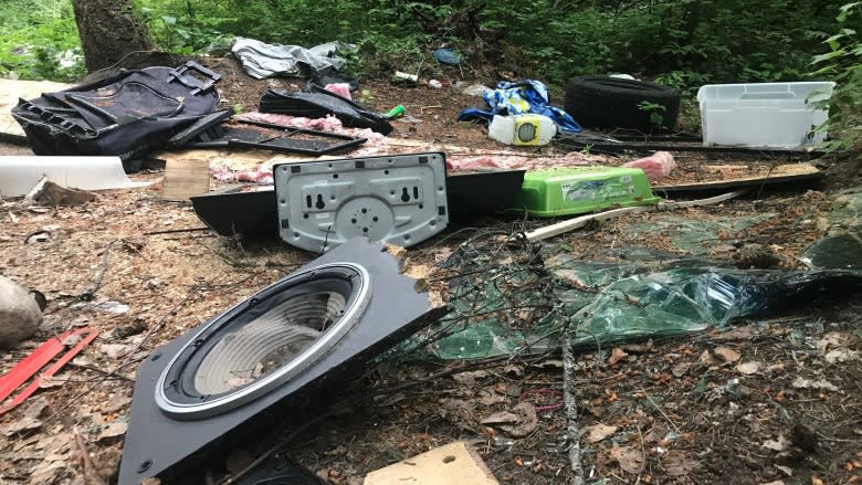 Clean-up planned for 'filthy' campsite left by notorious mail thieves near Peachland