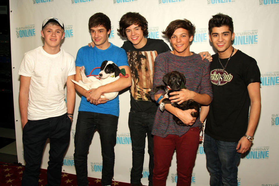 One Direction with puppies