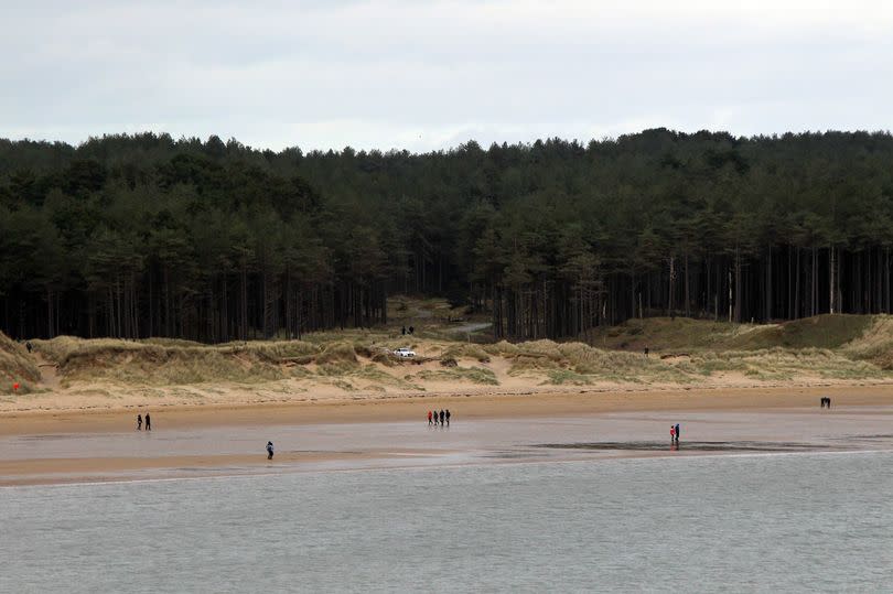 The beach is backed by Newborough Forest