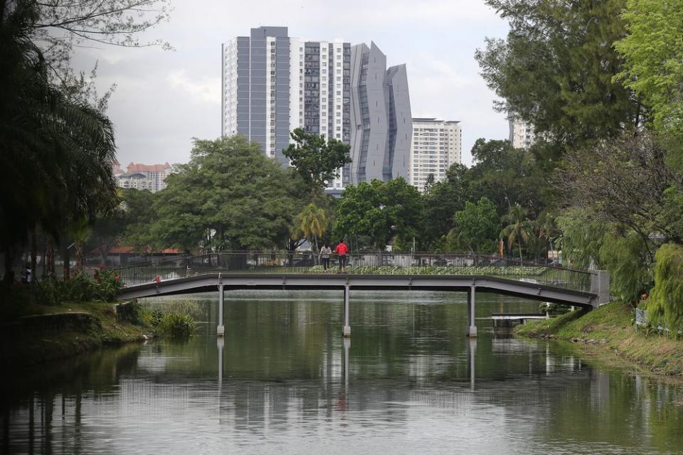 You can spot tortoises in the lake from one of the bridges in the park. — Picture by Yusof Mat Isa