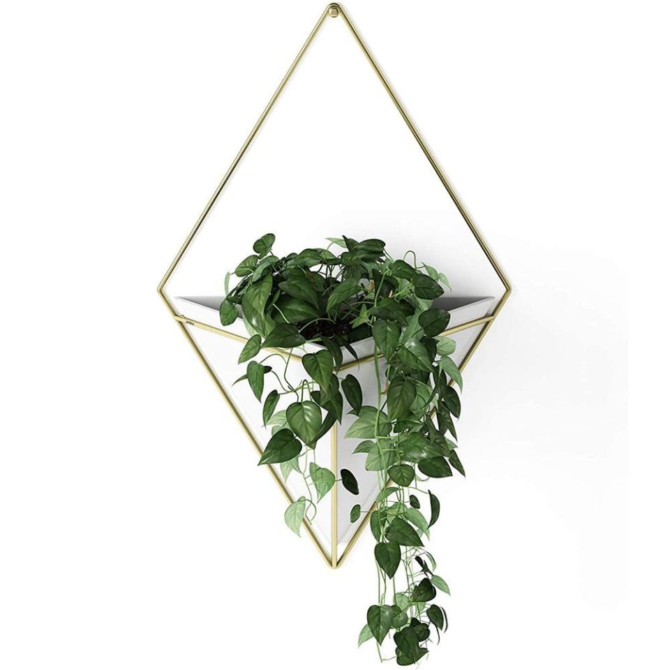 11) Umbra Trigg Hanging Planter Vase & Geometric Wall Decor Container