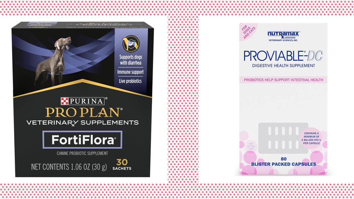 probiotics for dogs purina pro plan veterinary supplements proviable digestive health supplements