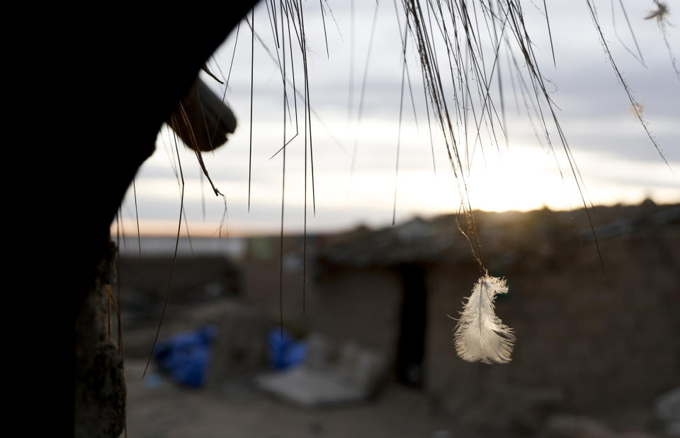 A feather is caught in a blade of straw in the entrance of a home in the Urus del Lago Poopo Indigenous community, in Punaca, Bolivia, Sunday, May 23, 2021. To save their identities, the Uru communities are trying to revive their native language — or at least its closest sibling. The last native speakers gradually died and younger generations grew up schooled in Spanish and working in other, more common Indigenous languages, Aymara and Quechua. (AP Photo/Juan Karita)