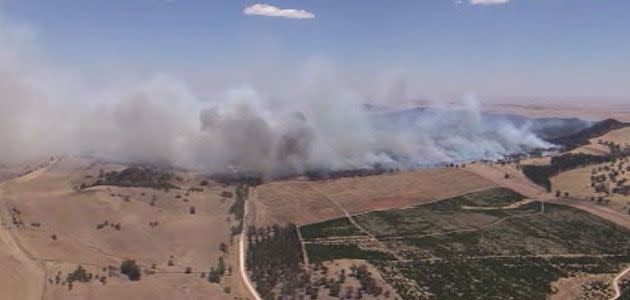 The forest fire as seen from the 7News chopper on Thursday. Photo: 7News.