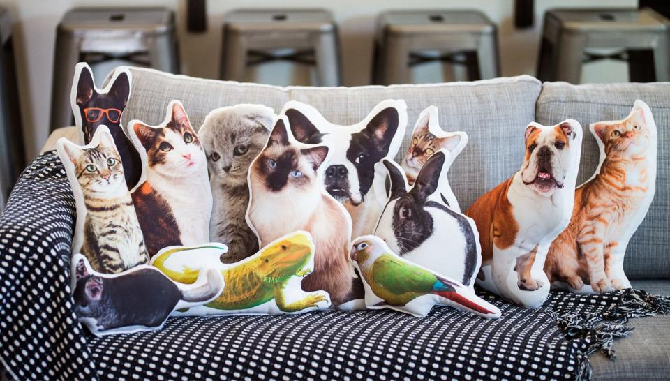 Gifts for college-bound students: aurespaces custom pet pillow