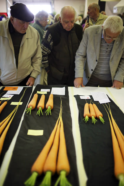 The Annual Harrogate Autumn Flower Show