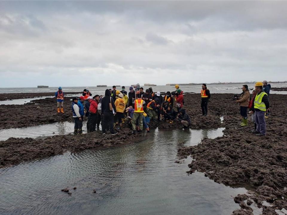 環保團體於29日赴三接藻礁現勘指出當地柴山多杯孔珊瑚生態。圖／中油提供