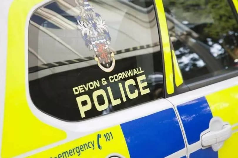 Devon & Cornwall Police Generic  Free to use