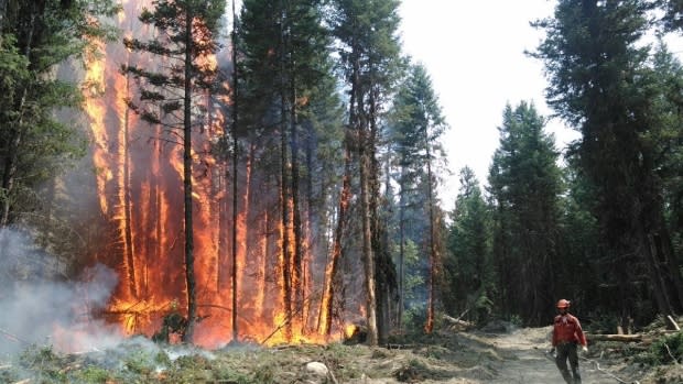 B.C. Wildfire Service