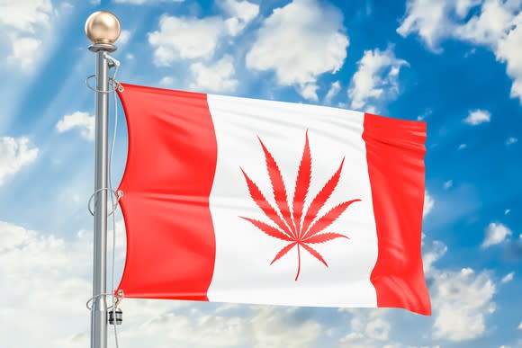 Canadian flag with marijuana leaf instead of maple leaf