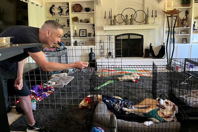 <p>Austin Pets Alive</p> Joe Rotunda and Alva enjoying the fenced off play area Rotunda made in his Texas home for the rescue dog