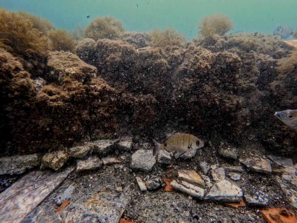 The remains of collapsed walls that cover the mosaic floor.  / Credit: Parco Archeologico Campi Flegrei