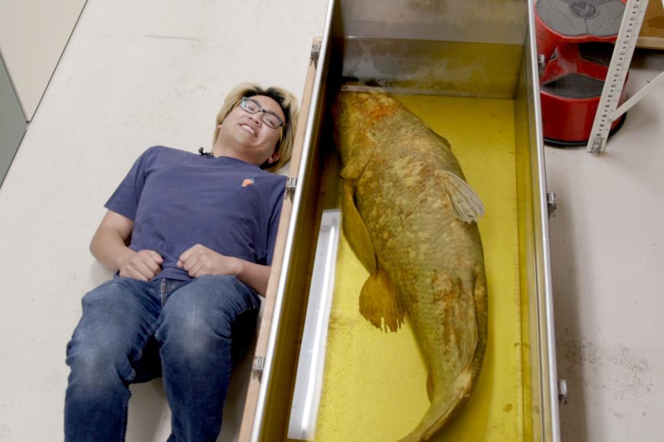 An embalmed coelacanth specimen at Chicago's Field Museum, Josh for scale.