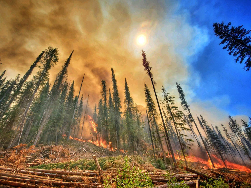 A wildfire burns through forests at the Summit Trail Fire in the Colville Reservation. 