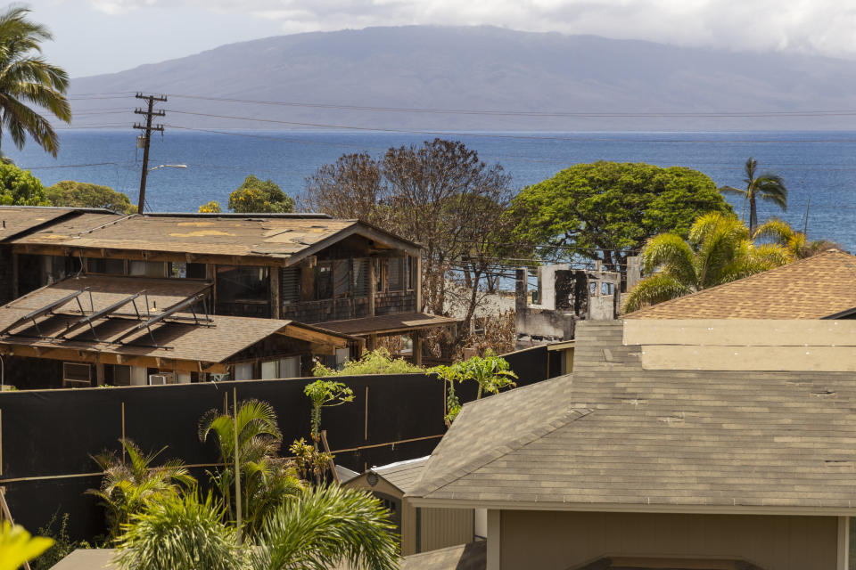 A dust fence separates fire-ravaged homes from a mostly unscathed Hawaiian homestead in Lahaina, Hawaii, on Friday, Sept. 1, 2023. The Villages of Leiali'I, a Hawaiian neighborhood, lost only two out of 104 houses, even though many homes were destroyed in other parts of Lahaina during a deadly August wildfire. (AP Photo/Marco Garcia)