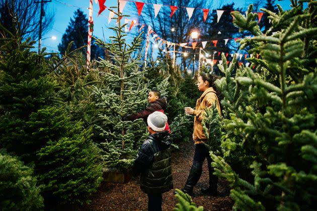 In recent years, many tree lots have sold out more quickly. (Photo: Thomas Barwick via Getty Images)