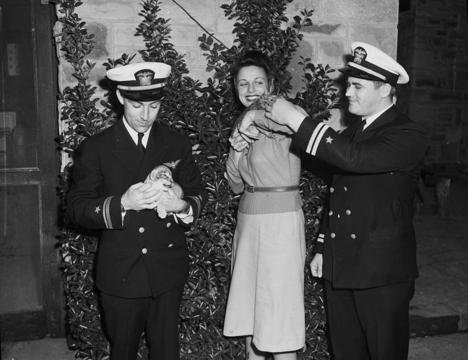 April 15, 1942: “Two of the cubs born to Forest Park Zoo lioness, Ginger, have found new homes. They are shown with their new owners, from left: Lt. H.F. Webster, Mrs. Webster, and Lt W.N. Hawkes. The men are Navy officers attached to the American Airlines training school at the Municipal Airport. They’ll keep the cubs at the Worth Hotel, where they are staying while in town. Once they are older, the cubs will be given to a zoo.”