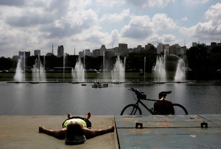 Citizens take sunbathe at Ibirapuera Park in Sao Paulo, Brazil, April 24, 2015. REUTERS/Nacho Doce