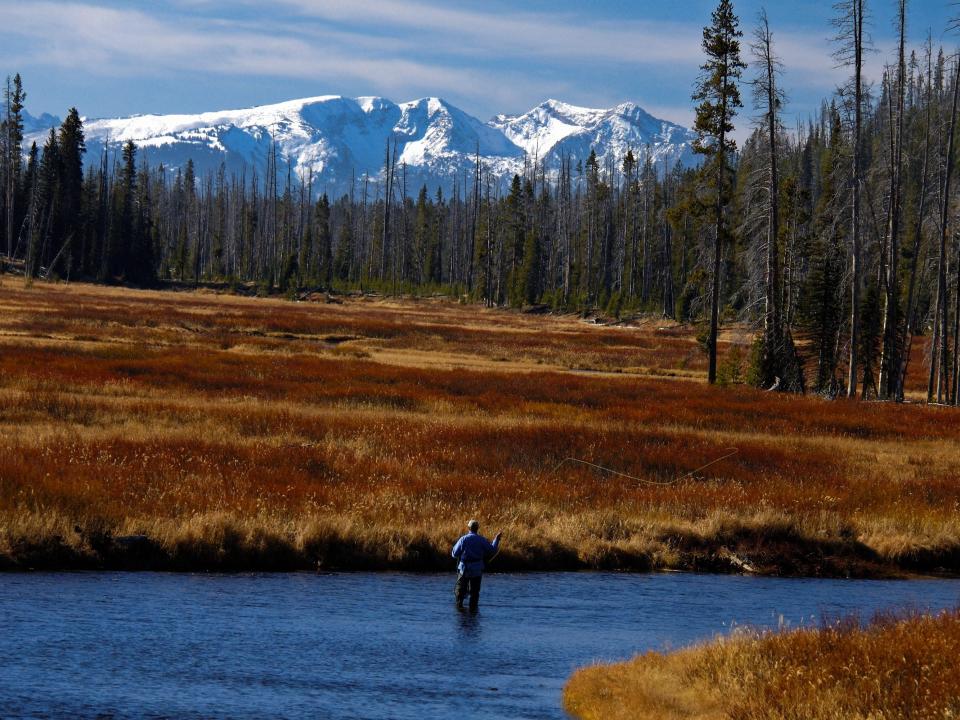 Yellowstone