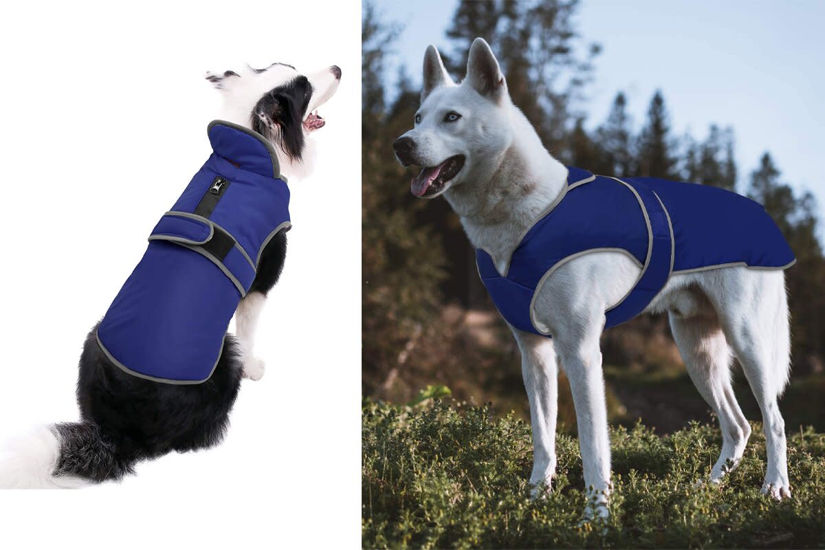 MIGOHI Reflective Waterproof Windproof Dog Coat Cold Weather Warm