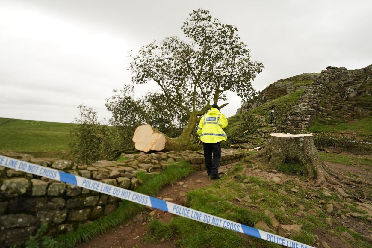 The destruction of the iconic, world-famous Sycamore Gap tree has triggered widespread outrage and upset (PA)