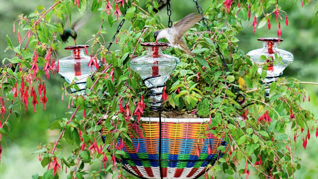 wicker hanging flower pot with three glass carafe hummingbird feeders