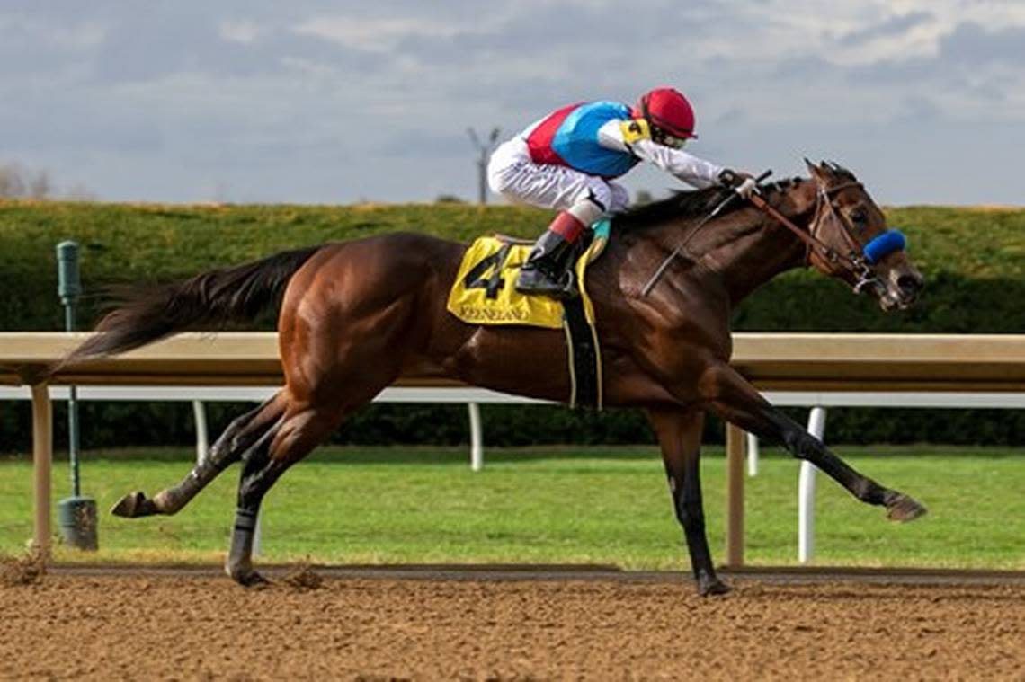 Bob Baffert-trained Arabian Knight has won both of his career starts, including the Grade 3 Southwest Stakes at Oaklawn Park last month, but cannot start amassing qualifying points for the Kentucky Derby unless his owner transfers him to a different trainer by the end of this month. Baffert is awaiting a ruling on his appeal of a suspension from Churchill Downs.