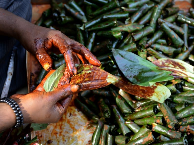 Many Indians chew handmade paan mixtures of tobacco and areca nut