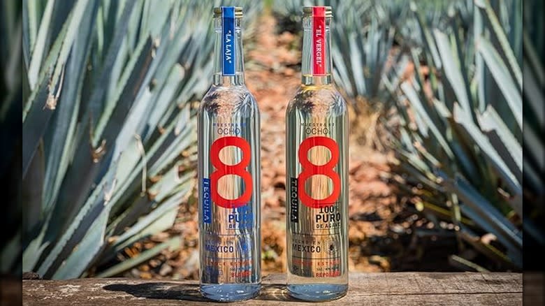 Ocho Reposado bottles with agave background