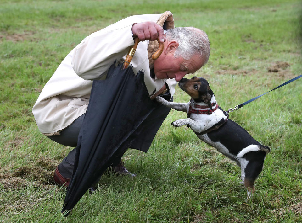 <p>The Prince of Wales greets The Duchess of Cornwalls’ dog, Beth during a visit to Dumfries House garden party and dog show, in Cumnock, Scotland (PA) </p>