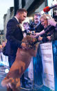 <p>Most stars don’t bring their dogs to their movie premieres, but wouldn’t it be awesome if they did? Hardy attempted to start a trend at <em>Legend</em>‘s 2015 debut in London. (Photo: <a rel="nofollow noopener" href="https://www.facebook.com/TomHardyUK/photos/a.556740111003689.135180.555896884421345/1055193411158354/?type=3&theater" target="_blank" data-ylk="slk:Tom Hardy via Facebook;elm:context_link;itc:0;sec:content-canvas" class="link ">Tom Hardy via Facebook</a>)<br><br></p>