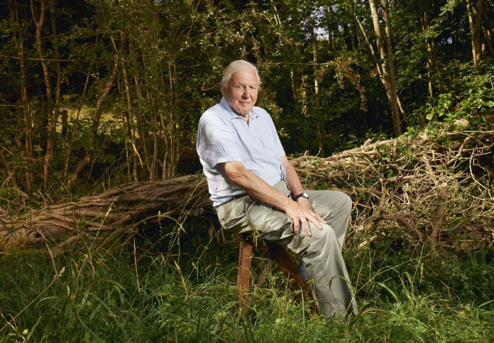 Sir David Attenborough, Planet Earth III