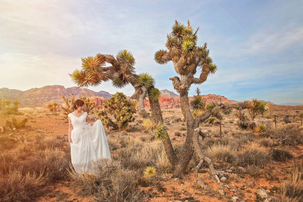 A Joshua tree makes for an excellent stand-in when your partner is off somewhere else!