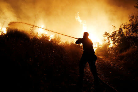 A firefighter tries to extinguish a wildfire burning near the village of Kalamos, north of Athens, Greece, August 13, 2017. REUTERS/Costas Baltas